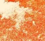 012-e79d1f71-0cad-4cd5-bae6-baa4f55050c7