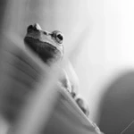 016-e79d1f71-0cad-4cd5-bae6-baa4f55050c7