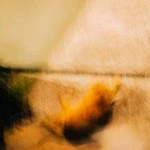 018-e79d1f71-0cad-4cd5-bae6-baa4f55050c7