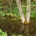 052-e79d1f71-0cad-4cd5-bae6-baa4f55050c7