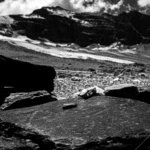 062-e79d1f71-0cad-4cd5-bae6-baa4f55050c7