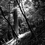 068-e79d1f71-0cad-4cd5-bae6-baa4f55050c7